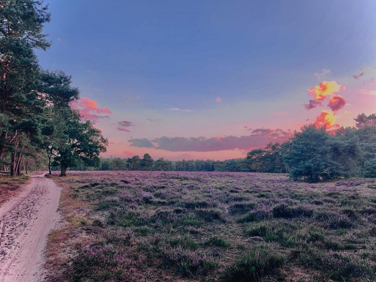 Rode Bosuil: Thuiskomen Op De Veluwe! Otterlo Exterior photo