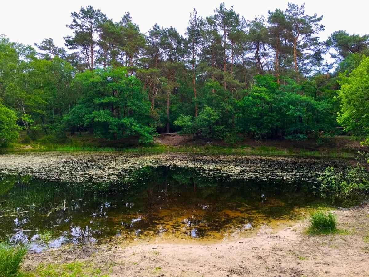 Rode Bosuil: Thuiskomen Op De Veluwe! Otterlo Exterior photo